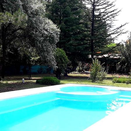 Casa Rural Entre Bodegas Y Vinedos ' El Jarillal" La Consulta 외부 사진