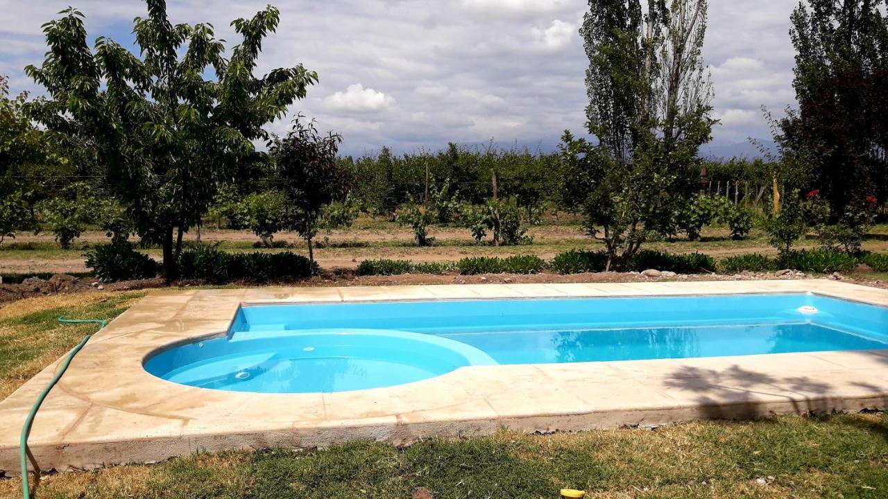 Casa Rural Entre Bodegas Y Vinedos ' El Jarillal" La Consulta 외부 사진