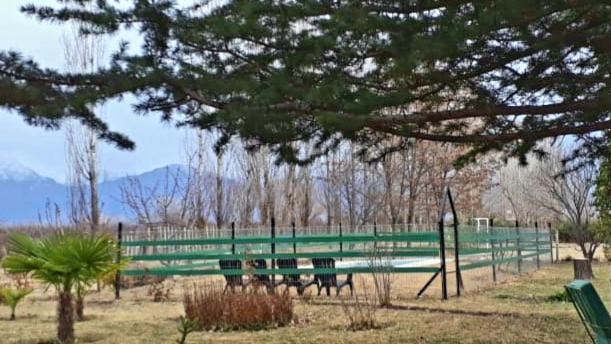 La Consulta Casa Rural Entre Bodegas Y Vinedos ' El Jarillal" 게스트하우스 외부 사진