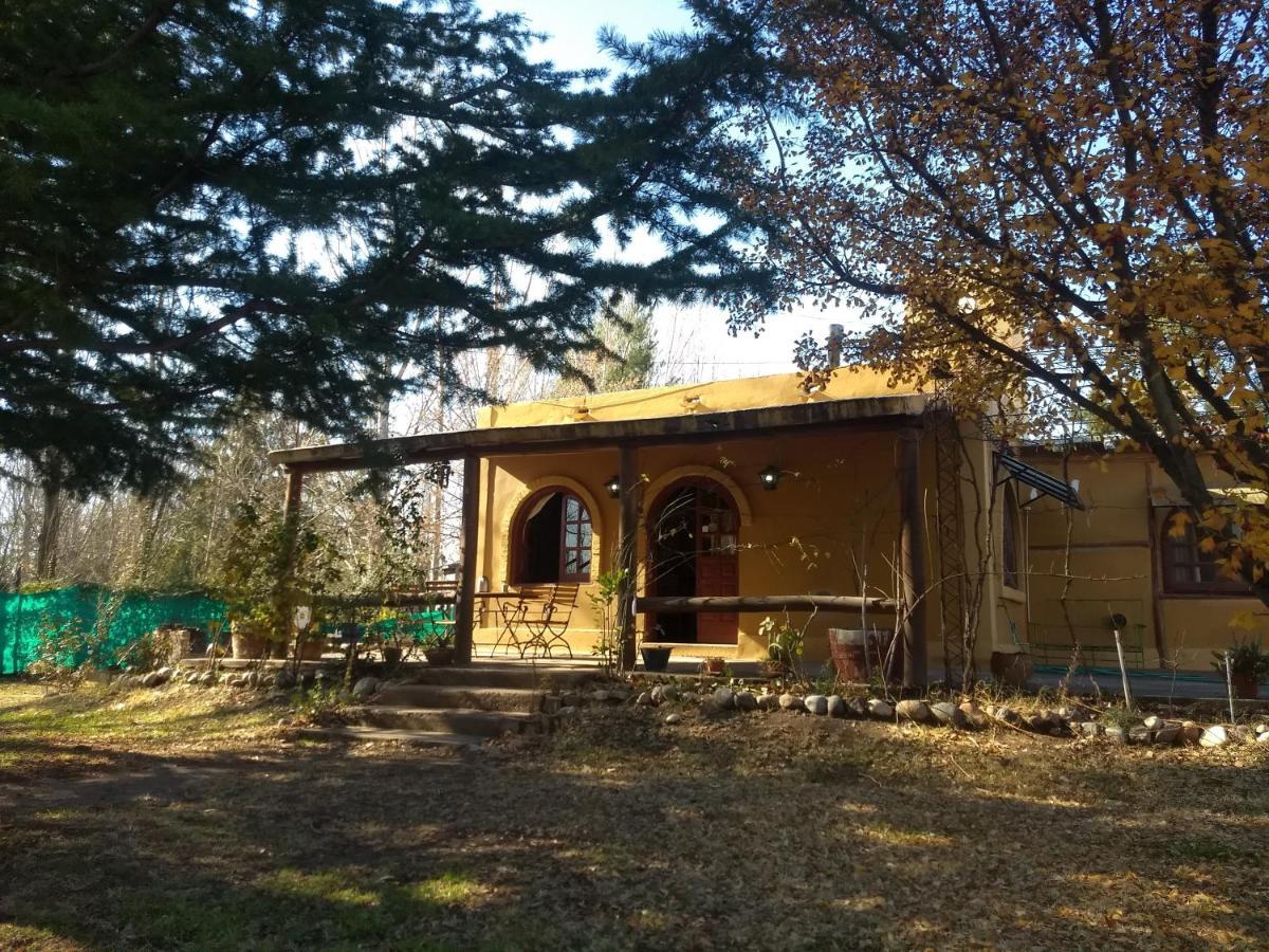 Casa Rural Entre Bodegas Y Vinedos ' El Jarillal" La Consulta 외부 사진