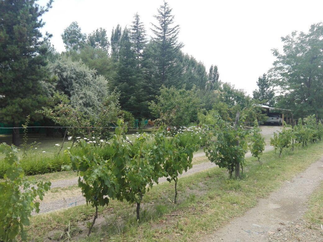 Casa Rural Entre Bodegas Y Vinedos ' El Jarillal" La Consulta 외부 사진