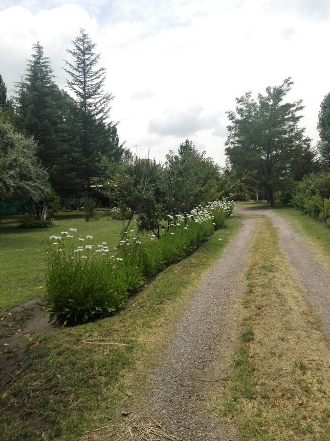 La Consulta Casa Rural Entre Bodegas Y Vinedos ' El Jarillal" 게스트하우스 외부 사진